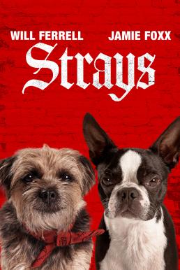 Strays ชีวิตหมาต้องไม่หมา (2023) บรรยายไทย